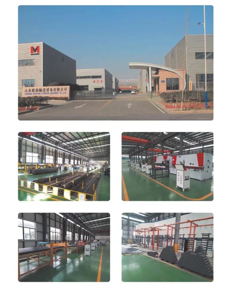 Conveyor Guide Roller in All Customized Sizes for Transition Frames