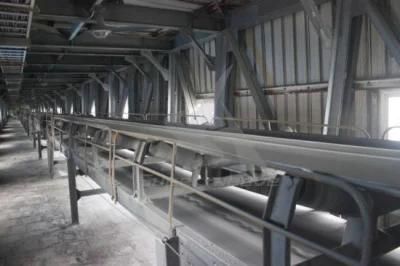 Fixed Belt Conveyor for Cement Limestone Coal Plant with High Quality