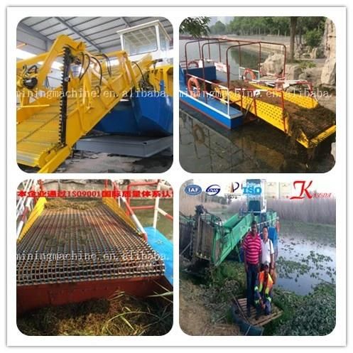 Entermorpha/Blue-Green Algae Salvage Boat