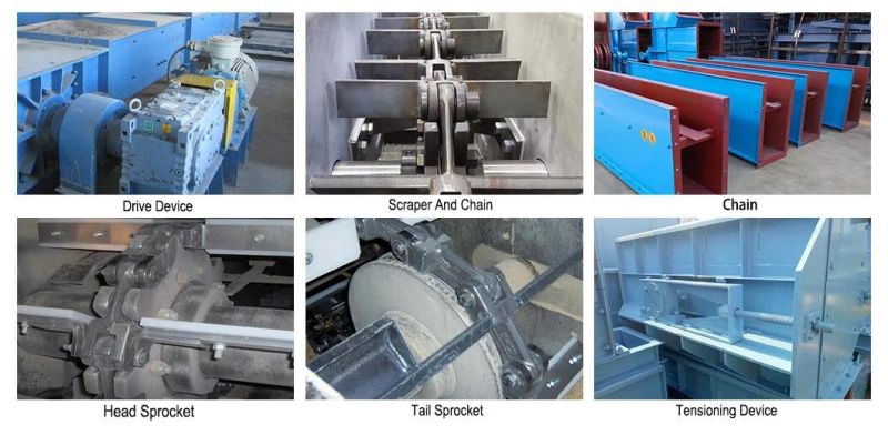 China Professional Universal Scraper Chain Conveyor for Conveying Bulk Material