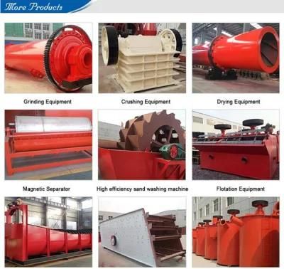 Sag Mill/Semi-Autogenous Mill