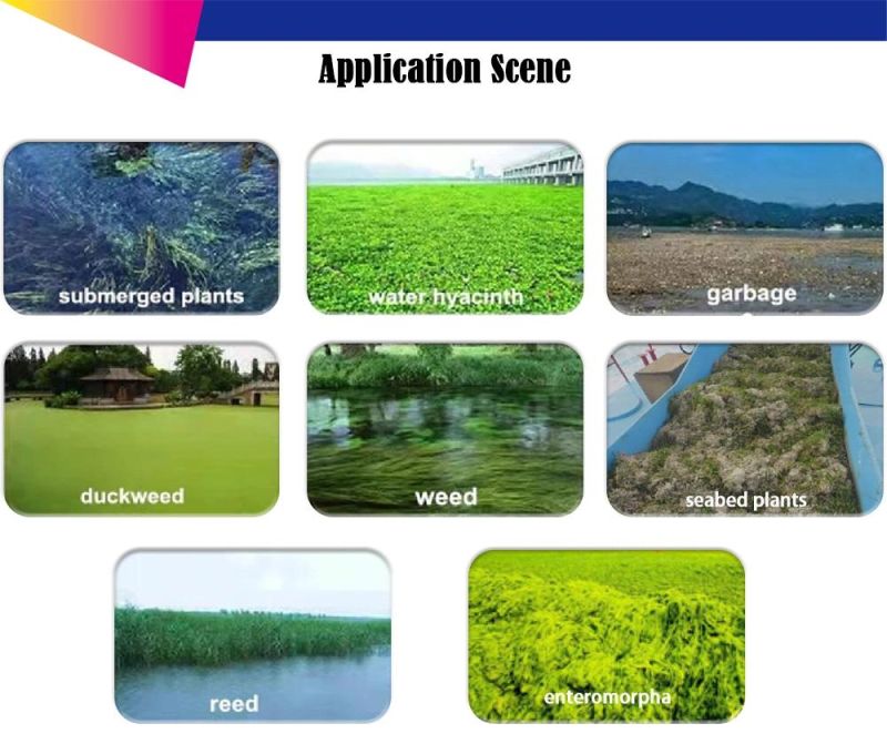 Customized Amphibious Weed Harvester for Sales