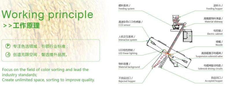 Quartz Grains Color Separating Machinery for Ore Color Sorting