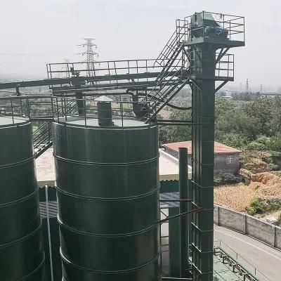 Non-Standard Design Convenient Direct Factory Ne Plate Chain Type Bucket Elevator