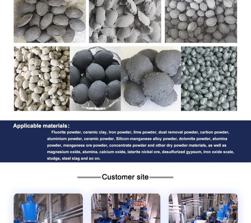 Chemical/mineral powder two piston hydraulic mechanical double roller briquetting press
