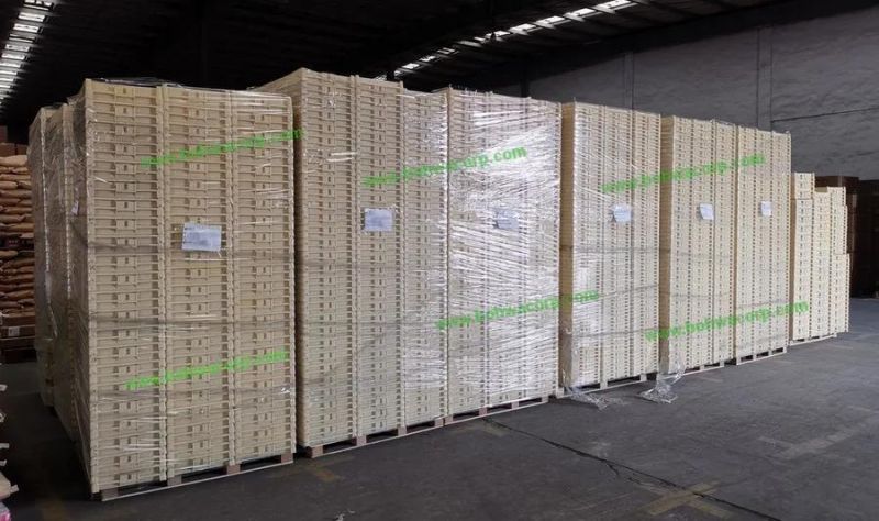 Plastic Core Storage Trays with Lids Tags for Logging