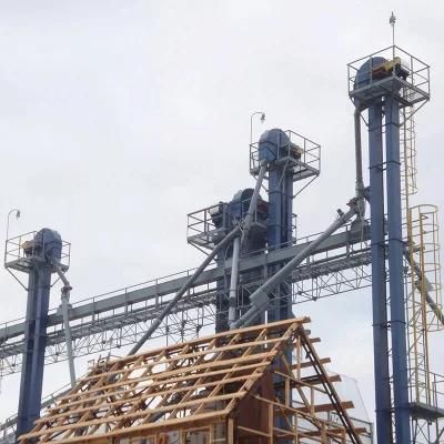 Steel Cord Belt Bucket Elevator for Lifting Conveying