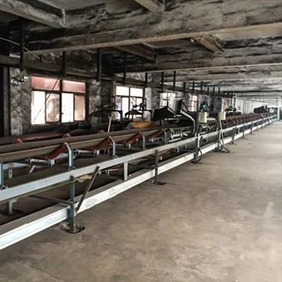 Continuous Conveying Belt Conveyer for Chemical Fertilizer