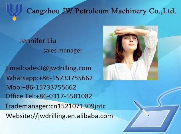 Hot Sales! API Horizontal Directional Drilling Use Mud Motor with 5lz172X7.0V