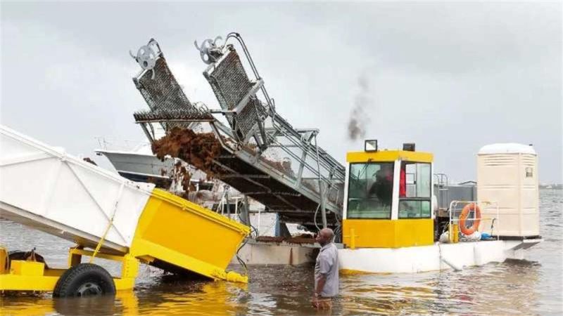 Lowest Price Weed Cutting Dredger River Water Hyacinth Cutting Collection Garbage Boat Aquatic Weed Harvester Trash Skimmer