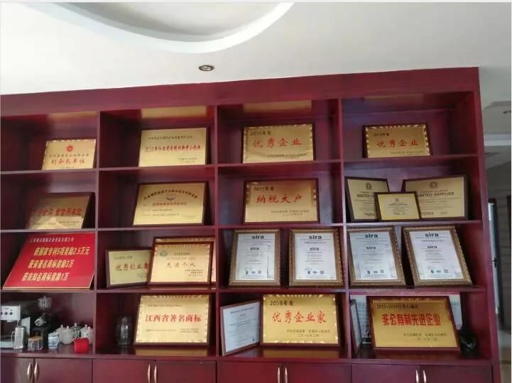 Rock Gold Mineral Processing Plant Mining Equipments From Gandong/Jiangxi Well-Tech International Mining Equipment