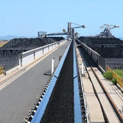 Horizontal Belt Conveyor for Firewood and Corn Powder Belt Conveying System