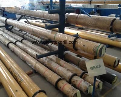 Hot Sale HDD Downhole Motor