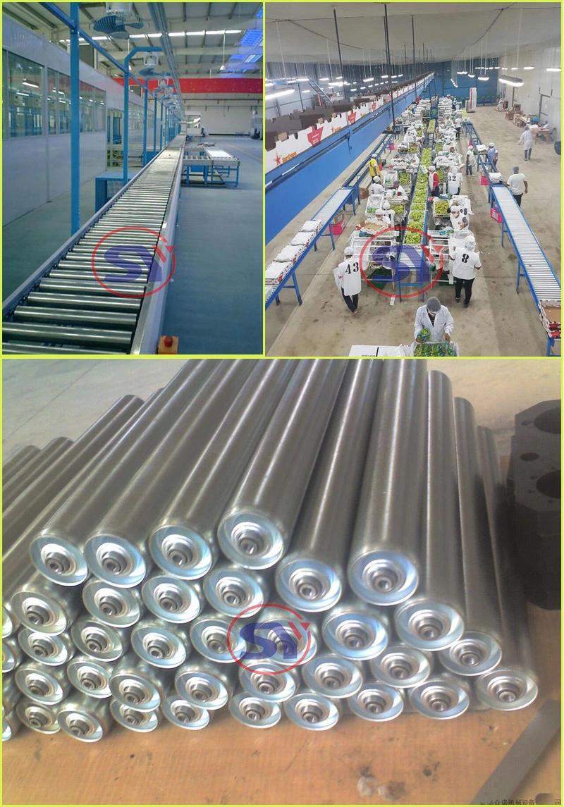 Design&Customize Bidirectional Stainless Steel Roller Conveyor Price