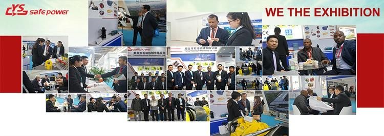 Tmy18 Vane Type Air Motor for Drilling Ma⪞ Hines