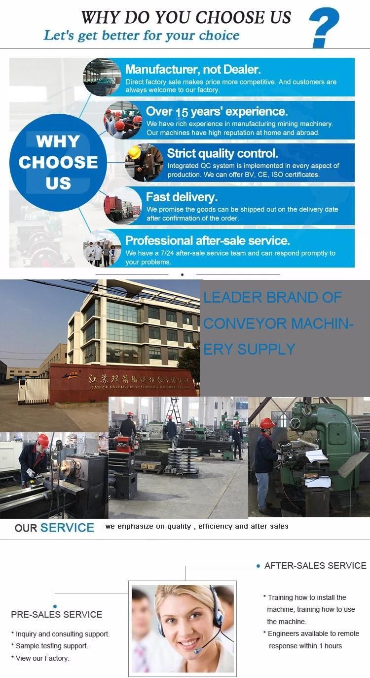 Double Arrow Conveyor System Professional Factory