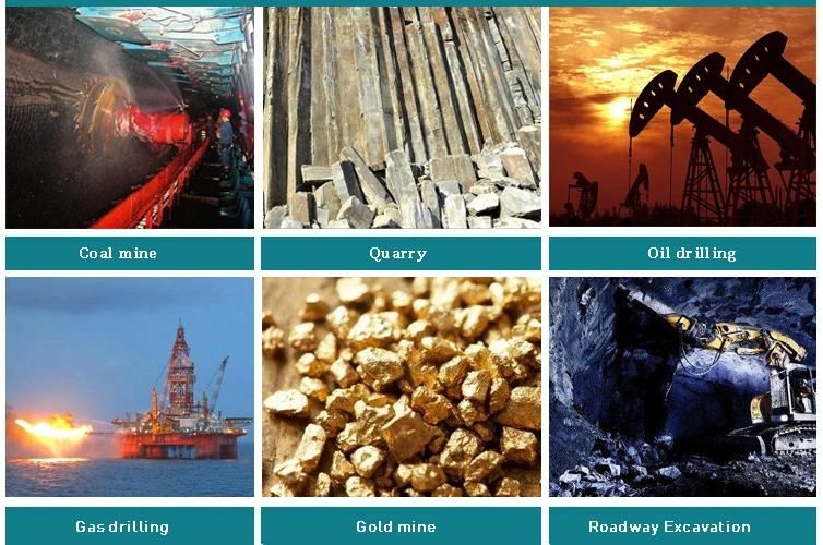 Good Price China Factory Made PDC Drill Bits for Oil and Mine Drilling PDC Buttons