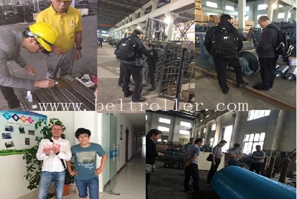 Double Arrow Garland Steel Conveyor Roller