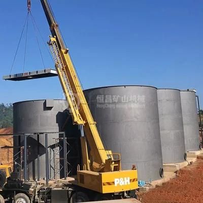 Afica Gold Mining Machine Cyanide Equipment Gold Cil Processing Plant Double Impeller Cil ...