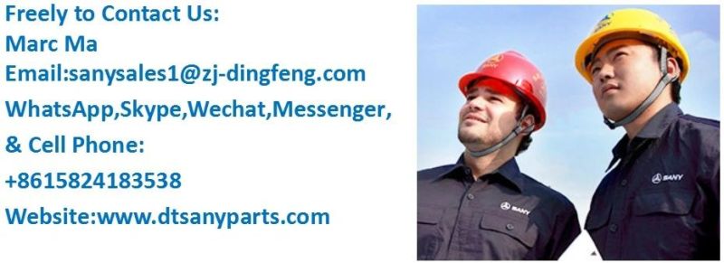 Genuine Engine for Sany Excavator