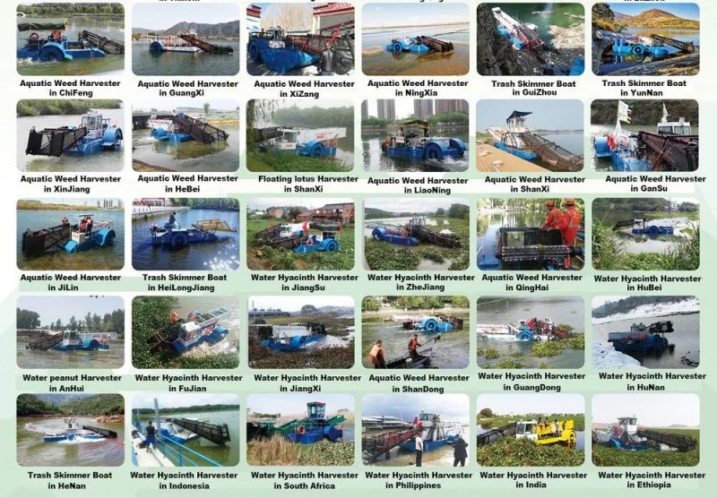 Reasonable Price Water Reed Weed Cutting Dredger/Machine/Boat