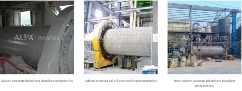 CaCO3 Powder Grinding and Classifiying System Professional Manufacture