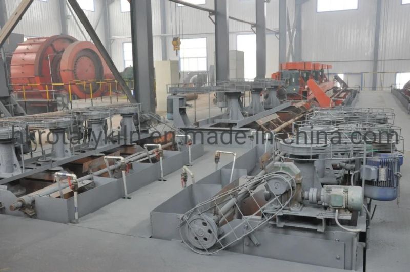 Copper Flotation Separator Production Line
