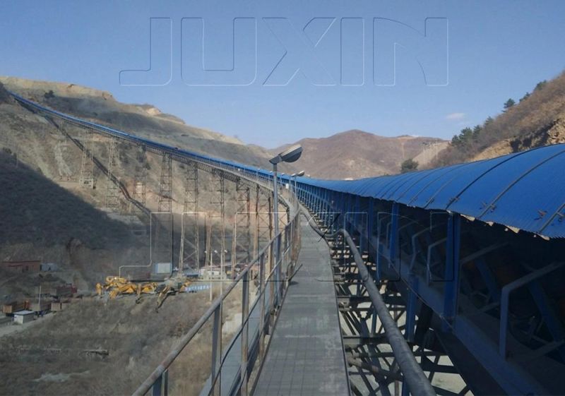 Belt Conveyor Accessory Conveyor Idler Roller with Frame