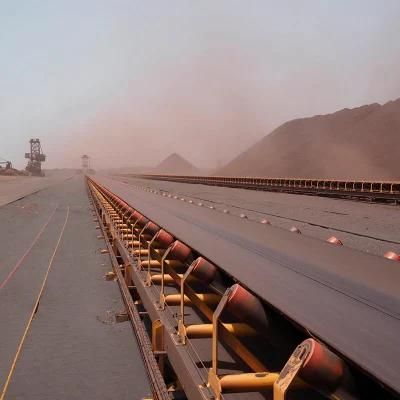 Customized Belt Conveyer for Cement/Coal/Grain and Other Industry