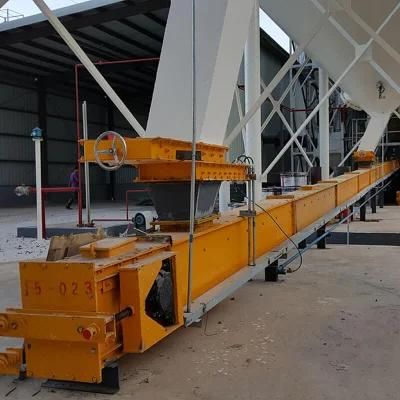 Fu Type Chain Conveyor Used on Building Materials