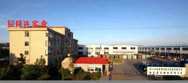 Mining Slurry Dewatering Tc Rotary Disk vacuum Filter Precision Disc Ceramic Filter