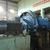 Professional Manufacturer of Gold Ball Mill Ball Grinding Machine From China Factory