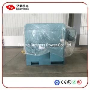 Mining Mill Electric Motor 800kw 500kw