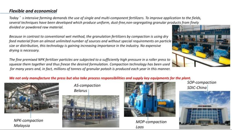 Chemical/mineral powder two piston hydraulic mechanical double roller briquetting press