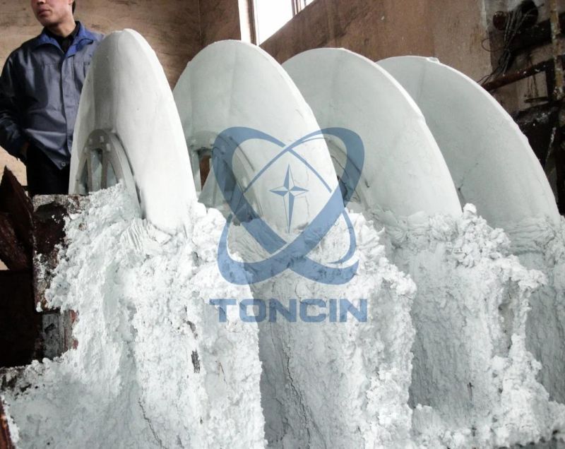 Mining Slurry Dewatering Tc Rotary Disk vacuum Filter Precision Disc Ceramic Filter