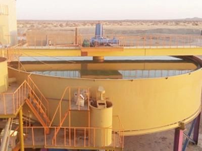 Washing Thickener