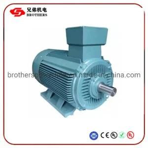 Mill Motor 380V 6600V 10kv 500kw 800kw 1200kw