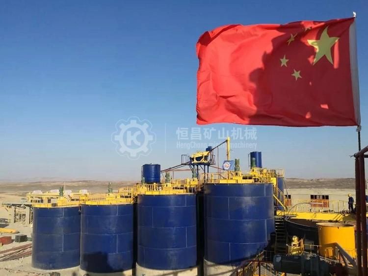 Afica Gold Mining Machine Cyanide Equipment Gold Cil Processing Plant Double Impeller Cil Leaching Tank