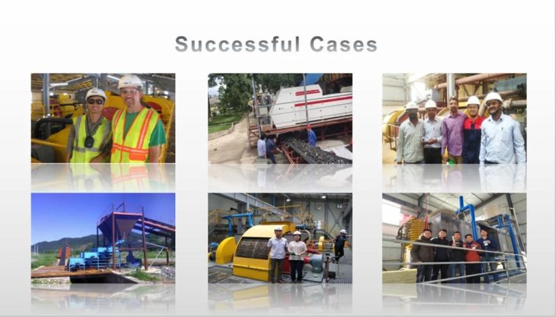 Labortary Scale Slon Electromagnetic Equipment (WHIMS) for Titanic Iron Ore
