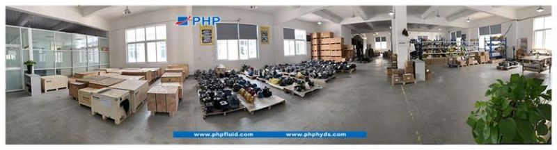 Replacement Vickers Hydraulic Pump for PVB29