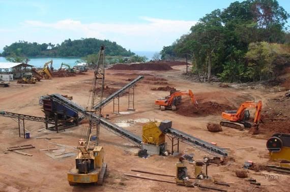Large Capacity Sawdust/Rice Husk/Coal Automatic Conveyor System