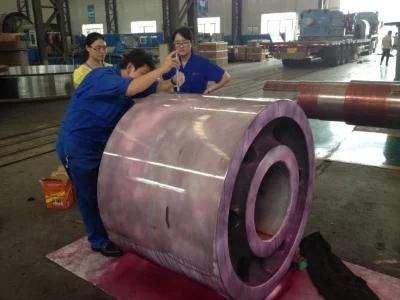 Supporting Roller for Marine Device