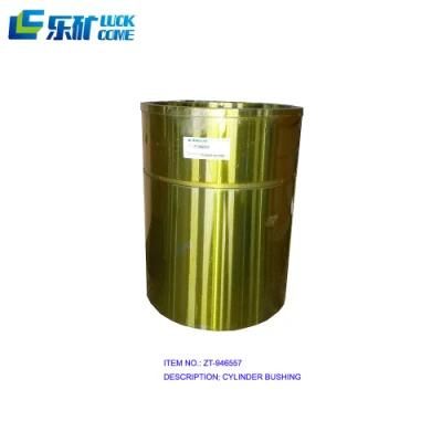 Frame Bushing for Crusher/Cone Crusher/Stone Tool/Stone Crusher Gp100