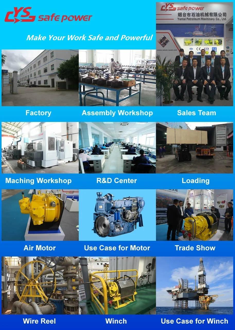 10 Ton Winch for Constuction