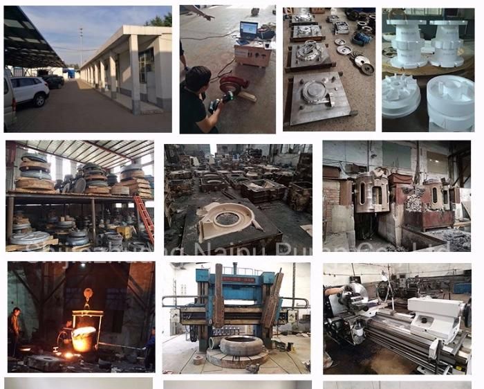 Naipu OEM Service Slurry Pump Closed Impeller