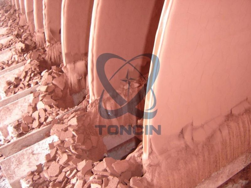 Mining Slurry Dewatering Tc Rotary Disk vacuum Filter Precision Disc Ceramic Filter