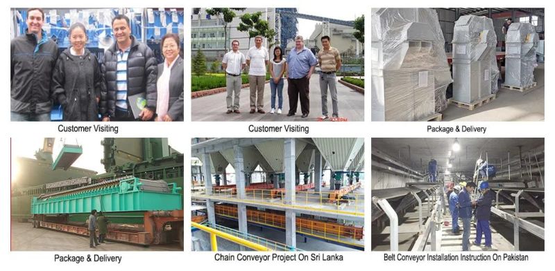 Multiple Outlet Double Outlet Lifting Fertilizer Industrial Vertical Elevating Chain Z Type Bucket Elevator Conveyor