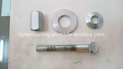 Standard Spare Parts Bolt Set Screw Nut Washer Used to Vibrating Screen