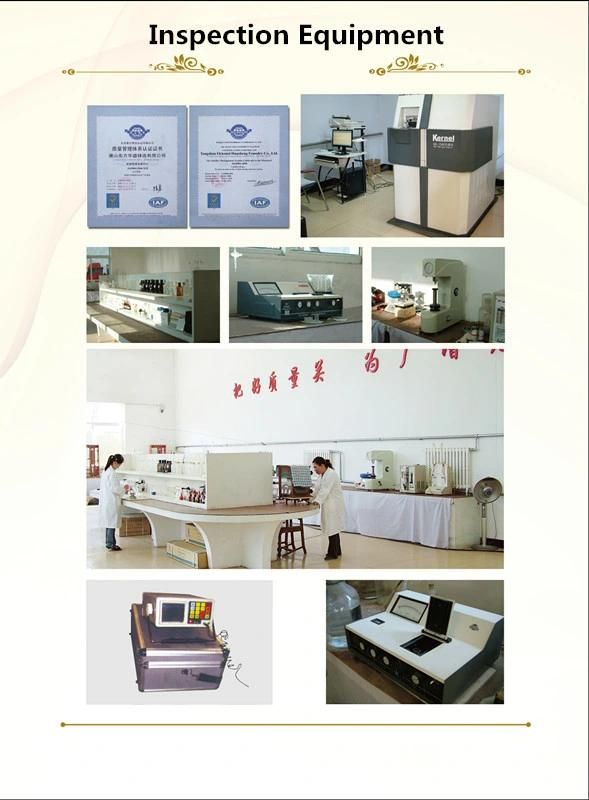 Mining Mill Accessory Lining Plate/Mining Equipment/Spare Parts/Tool