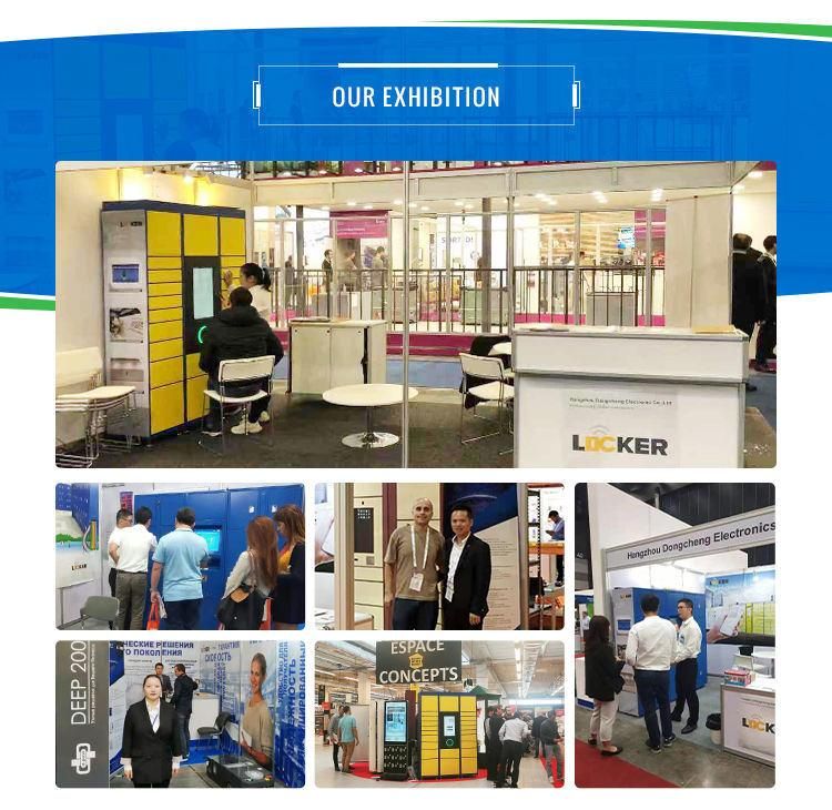 Customized Combination DC Plywood Case CE, ISO Smart Parcel Locker
